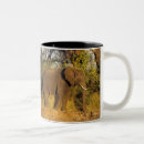 Search for zimbabwe mugs Wildlife