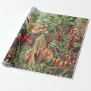 Search for moss wrapping paper Ernst haeckel