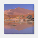Search for mirror magnets Scenic