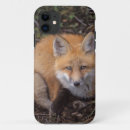 Search for vulpes vulpes iphone cases Nwr