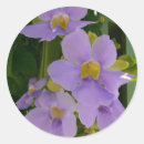 Search for flower vine stickers Floral