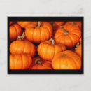 Search for pumpkin postcards Halloween