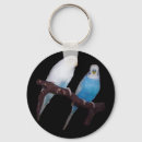 Search for parakeet key rings Budgerigar