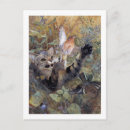 Search for bird lover postcards Kitty