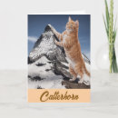 Search for tabby cards invites Kitty