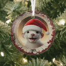 Search for ferret christmas tree decorations Xmas