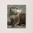 Search for cute otter puzzles Baby