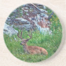 Search for buck coasters Green