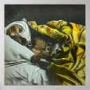 Search for vintage dog posters Greyhound