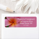 Search for frangipani flowers return address labels Tropical