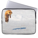 Search for leap cases Wildlife