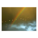 Search for bosque del apache posters Jaynes gallery