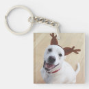 Search for cute reindeer key rings Funny