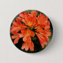Search for orange flowers badges Cute