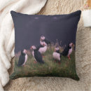 Search for puffin cushions Wildlife