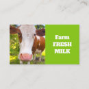 Search for farm animal business cards Photography