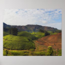 Search for crops art Horizontal