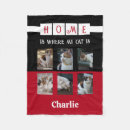 Search for photo with animals blankets Cats