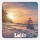 Search for fir stickers Forest