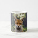 Search for red fox mugs Nature