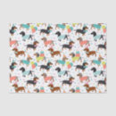 Search for dachshund tissue paper Birthday