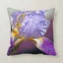 Search for iris cushions Photography
