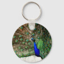 Search for displaying key rings Wildlife