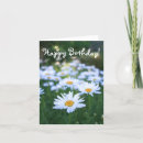 Search for happy daisy cards Cute