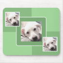 Search for gree Minimalist
