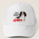 Search for adopt hats Animal