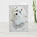 Search for adorable christmas cards White