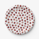 Search for ladybug plates Modern