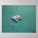 Search for pacific island posters Aerial