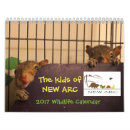 Search for rabbit office supplies Racoon