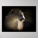 Search for cougar art Pumas
