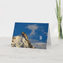 Search for summiteer cards Moon