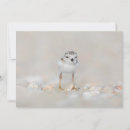 Search for baby chick thank you cards Animals in the wild