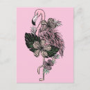 Search for flamingo postcards Illustration