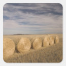 Search for crops stickers Landscape