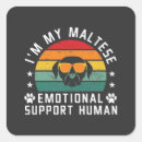 Search for canine companion stickers Furry friend