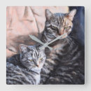 Search for tabby art Portrait