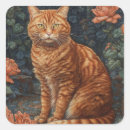 Search for ginger tabby stickers Cat