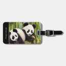 Search for ais accessories Kids