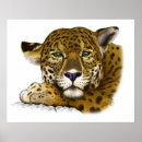 Search for jaguars posters Portrait
