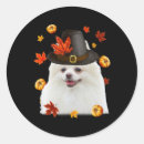 Search for pilgrim hat stickers Funny