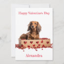 Search for dachshund valentines day cards Cute