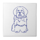 Search for havanese dog White
