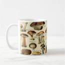 Search for vintage mushroom mugs Toadstool