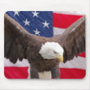 Search for flag with american eagle electronics Birds of prey