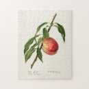 Search for fruit puzzles Vintage